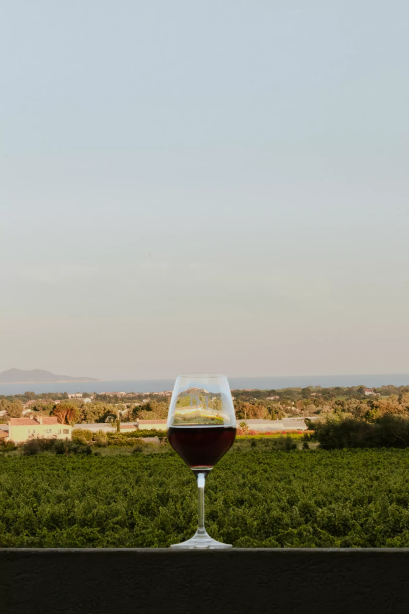 IMG_5439-Avecaccentuation-Bruit