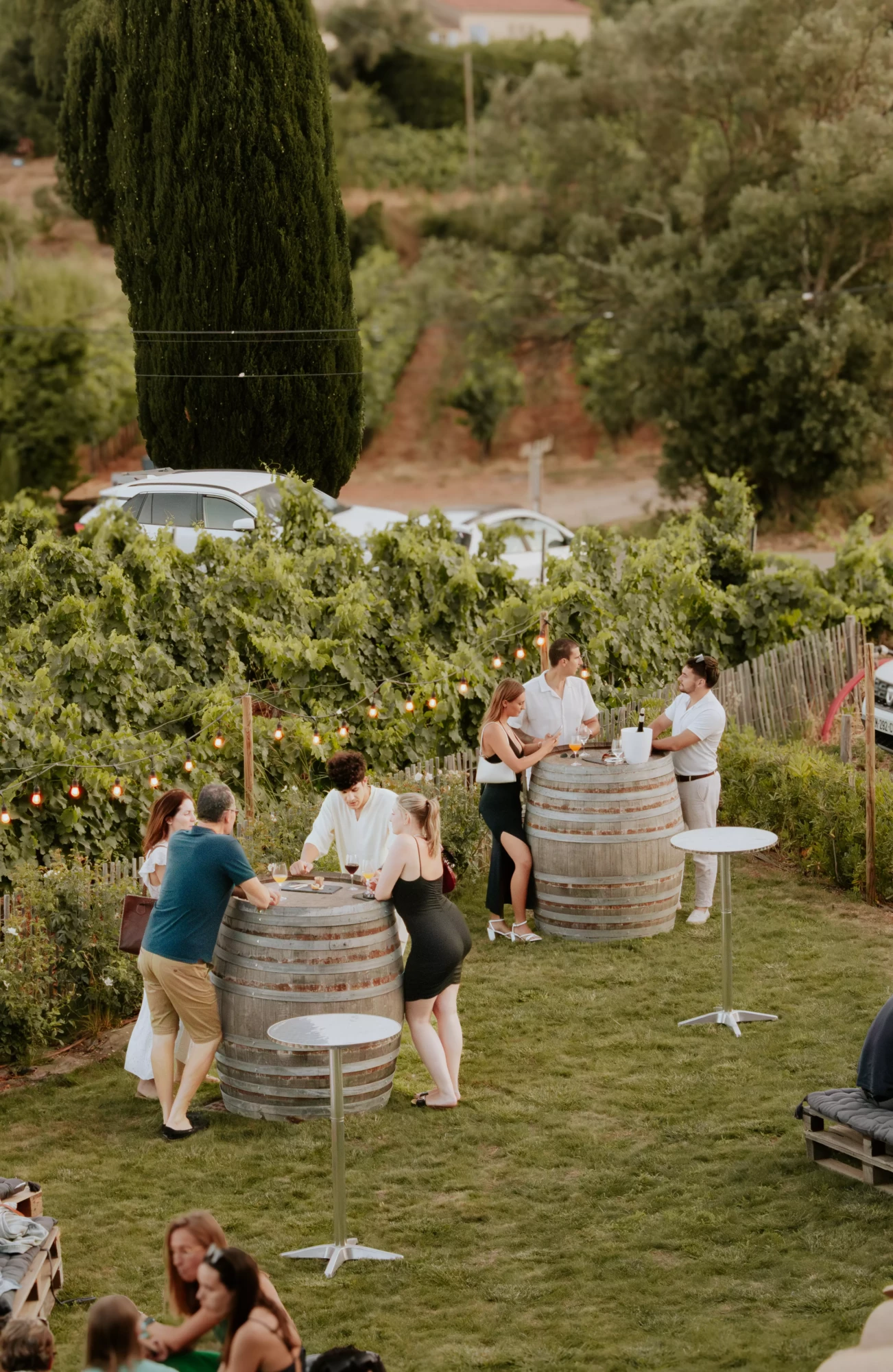 IMG_5442-Avecaccentuation-Bruit